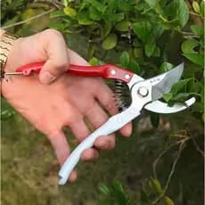 Tesoura de Poda  Flores Ornamentais Jardim Corte Preciso Ergonômica Para Plantas e Flores Doméstica Jardinagem Premium