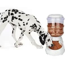 Comedouro GALÃO Automático Cães e Gatos 3,8L prático pet