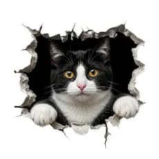 Adesivo de Gato 3D 15x15 cm Efeito Parede Rasgada Vinil