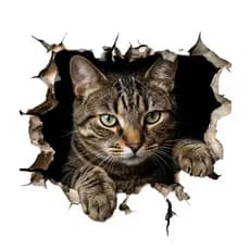 Adesivo 3D Gato Rasgando Parede Vinil Decorativo Realista