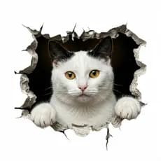 Adesivo Gato 3D Realista Parede Porta Carro Decorativo Vinil 15cm 30cm