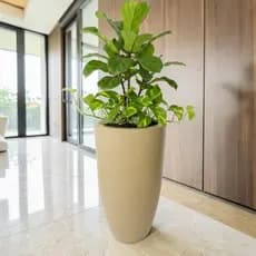 Vaso Decorativo Ibiza Bojo Slim Luxo Grande 50x30 cm para Plantas Marmorizado Polido Moderno