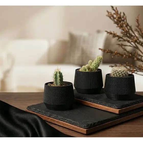 Kit 3 Vasos para Suculentas e Cactos Decorativo Canelado Biodegradável Artesanal Minimalista