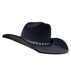 Chapéu Cowgirl  Rodeio Barretos Sertanejo Americano Country strass