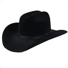 Chapéu Masculino Americano Country Cowgirl Rodeio Barretos Sertanejo