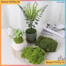 30/50/100g Musgo Falso DIY Artesanato Grama Artificial Preservado Plantas Verdes Casa Quarto Decoração Do Jardim Mini Pa