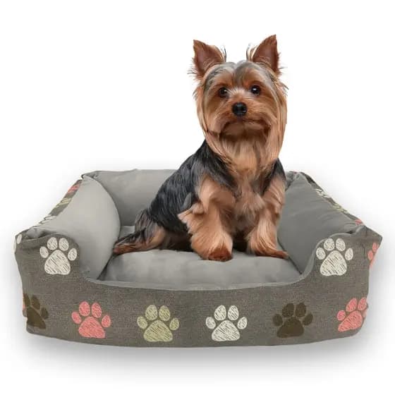Cama Pet Caminha Confort Retangular Para Cachorros e Gatos Estampada Tamanho P Porte Pequeno