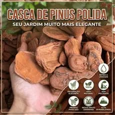 CASCA DE PINUS POLIDO 6KG - 40LT / DECORAÇÃO JARDINS VASOS DE PLANTA PAISAGISMO