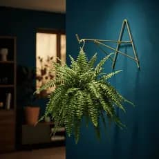 Suporte Triângulo A Para Vasos de Plantas Ferro Dourado Fácil Instalar Pendurar Planta na Parede