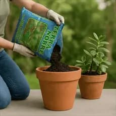 Pacote de Terra Orgânica Adubada 10kg – Solo Ideal para Cultivo Natural Livre de Produto Químico