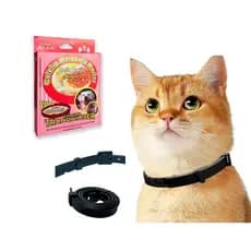Coleira Calmante Ajustável P/cães & Gatos Maracujá
