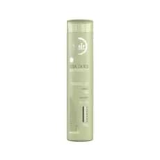 Shampoo Linha Erva Doce 300ml Hair Extrattus
