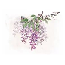 Papel Decoupage OPAPEL 30x45 2813 Flor Glicínias
