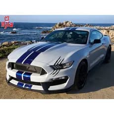 Adesivo Automotivo Decorativo Garra de Monstro Riscos Tuning para Carro e Moto