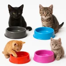 Kit 20 Potes Ração e Água Pet Comedouro Bebedouro para Gatos Cachorro Ramster 150ML