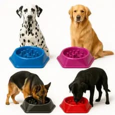 Comedouro Educativo Lento para Cães Interativo 600ml Vasilha Prato de Ração Cachorro Gato