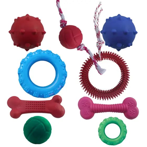 Kit 5 Brinquedos Pet para Cachorros de Pequeno Porte Ossinhos Bolinhas Pet