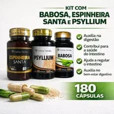 Kit para digestão com espinheira santa + Psyllium + babosa
