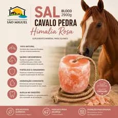 SAL DO HIMALAIA BLOCO PARA EQUINOS 2,9KG