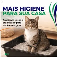 Caixa de Areia Preta para Gatos Higiênica | Fácil Limpeza | Banheiro Sanitário