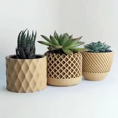Conjunto 3 Vasos Pequenos de Plástico Decorativos – Ideal para Suculentas e Cactos