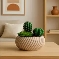 Vaso com Arranjo Mini Suculenta e Cactus para Sala, Mesa ou Escritório