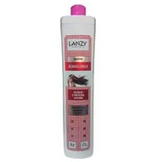 Shampoo Profissional Desmaia Cabelo - Lanzy 1lt