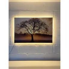Quadro decorativo sem vidro e sem moldura com led 50x70cm