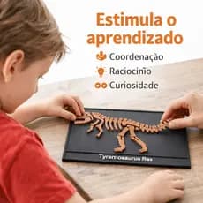 Kit 6 Quebra Cabeça Fóssil Dinossauro 3D Educativo - Placa Decorativa - Coleção Completa