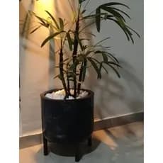 Vaso de planta Fênix Cachepô Anti-Dengue S/ Rodizio
