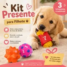 Kit Presente para Filhote com 3 Brinquedos Mordedores Anti Ansiedade para Cachorro