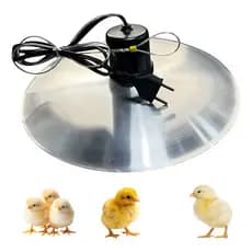Aquecedor Pintinho Campanula Resistencia Inox Blindada Cor Alumínio 220v 250w