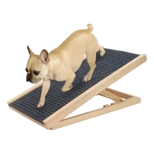 Rampa Pet 70 Cm Ate 50 Kg Antiderrapante Ajustavel Dobravel