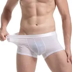 Novo produto pronto estoque masculino transparente renda roupa interior Boxer sentir Ultra-fino de secagem rápida moda g