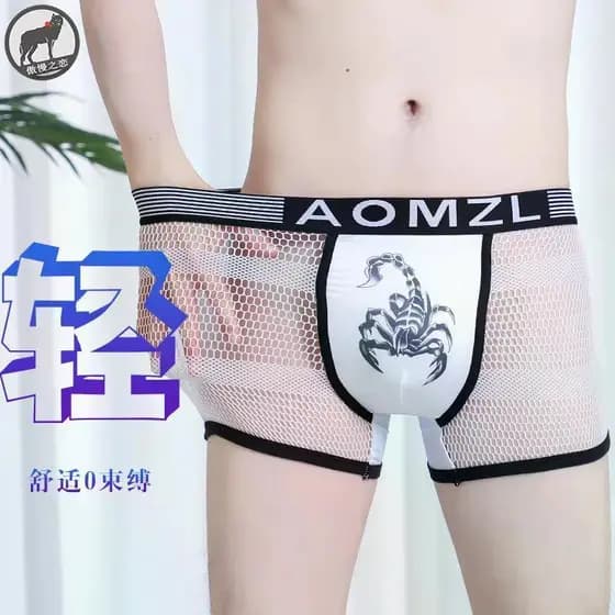 2026 novo estilo roupa interior masculina transparente malha de seda gelo roupa interior oca sentir Shorts boxer briefs