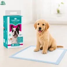 Tapete Higiênico Pet 55x60 Confort Pads Absorvente Para Cães Gatos Xixi e Treinamento