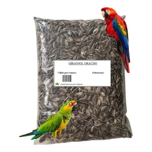 Semente 5 Kg Girassol Grande Pássaros Papagaio Limpa Graudo