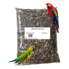 Semente 5 Kg Girassol Grande Pássaros Papagaio Limpa Graudo