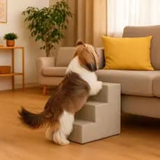 Escada Pet Escadinha P Cachorro Gato Rampa Cinza