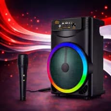 Caixa De Som Portable Speaker orador sem fio recarregável melhor bluetooth speaker com microfone karaoke - ZQS8146
