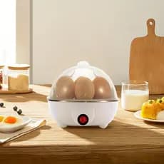 Cozedor Ovos Máquina De Cozinhar A Vapor 7 Ovos 220v Snel Home