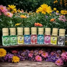 Aromatizador Automotivo Hominicar Pingente 10ml Cheirinhos de Carro Exclusivo Aromatizante Veicular