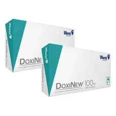 Kit 2 Cx Antibiótico Para Cães E Gatos Doxinew 100 Mg C/ 14