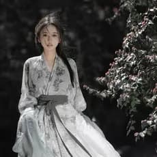 2026 Novo Estilo Novo Estilo Chinês Zen Melhorado Hanfu Feminino Estilo Chinês Retro Série Legal Bambu Impresso Estilo d