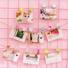 Mini Prendedores Madeira Decorado Kit com 4 unidades