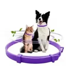 Coleira anti estress calmante para cães e gatos