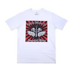 Camiseta Original Charlie Brown Jr Imunidade Musical Discografia Skatista Original
