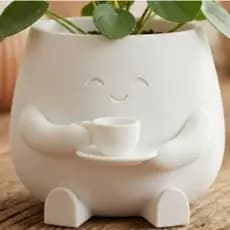 Vaso Decorativo Fofo para Cactus e Suculenta | Mini vaso Criativo Expressões
