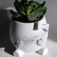 Vaso Decorativo Fofo para Cactus e Suculenta | Mini vaso Criativo Expressões