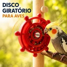 Disco Giratório Interativo p/ Aves Brinquedo Educativo Inteligente Calopsita Periquito Agapornis Anti Estresse